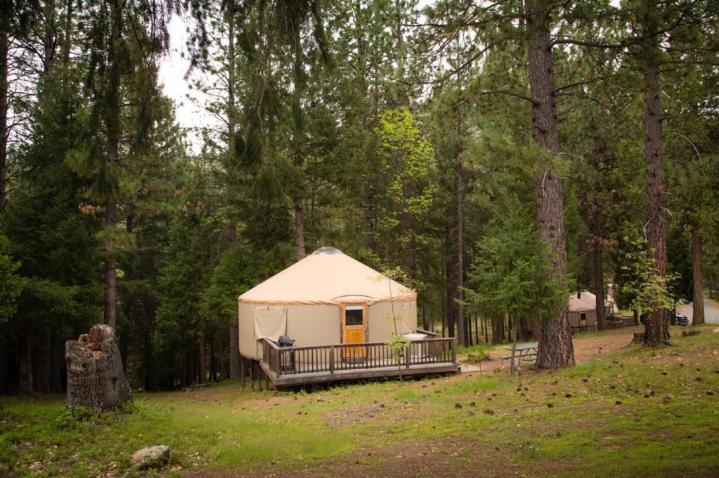 Yosemite Lakes Hillside Yurt 1 Harden Flat エクステリア 写真