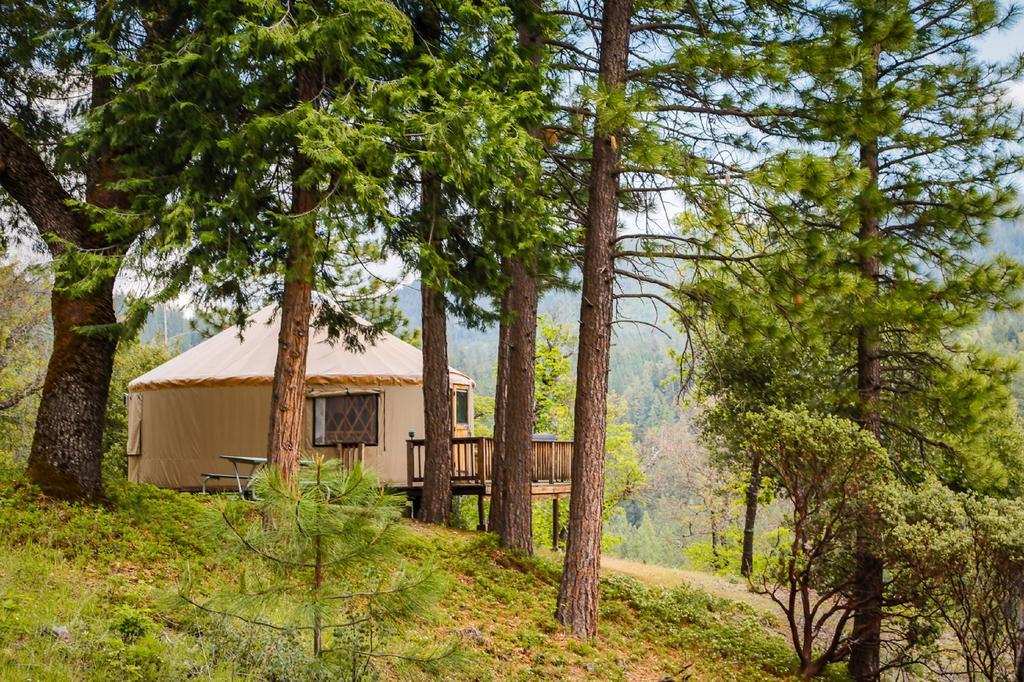 Yosemite Lakes Hillside Yurt 1 Harden Flat エクステリア 写真