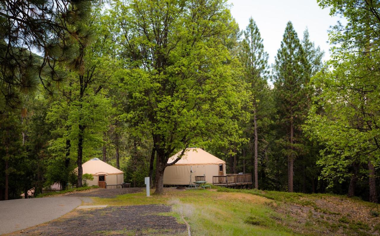 Yosemite Lakes Hillside Yurt 1 Harden Flat エクステリア 写真